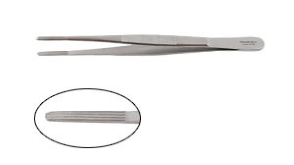 Photo1: Dressing Forceps (1)