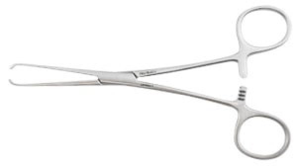 Photo1: Allis Tissue Forceps (1)