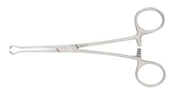 Photo1: Babcock Intestinal Forceps (1)