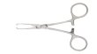 Photo2: Allis Tissue Forceps (2)