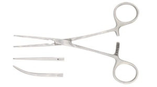 Photo1: Bainbridge Forceps (1)