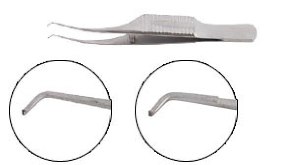 Photo1: Colibri Corneal Utility Forceps (1)