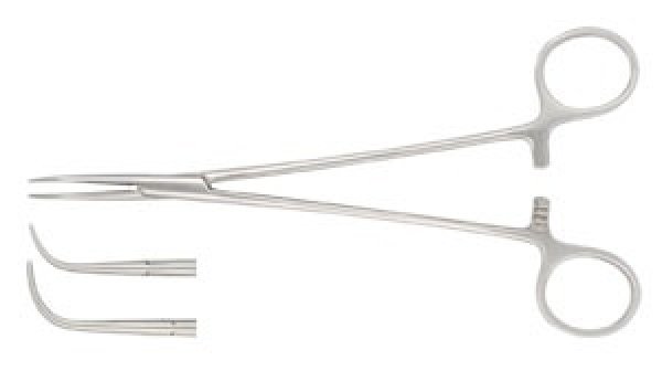 Photo1: Gemini-Mixter Forceps (1)